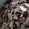 如何确定松树皮是否已经腐烂：能否凭借颜色、气味和湿度来判断？