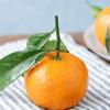 橙子与橘子：品种、触感、外观和功效的差异