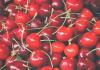 如何处理有虫的樱桃：用醋、盐或食用碱浸泡以杀虫